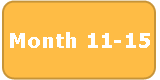 Gold background and white text, "Month 11-15"