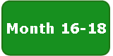 Green background and white text, "Month 16-18"