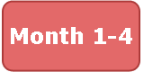 Red background and white text, "Month 1-4"